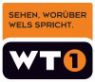 Logo: WT1 - 